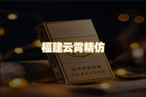 福建云霄精仿